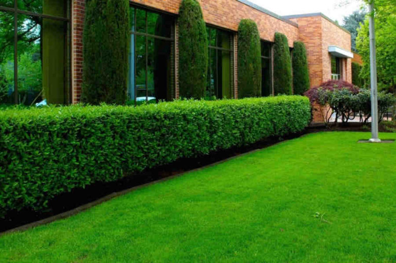 Facilities Management Northern Ireland